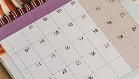Lang Calendars 2024